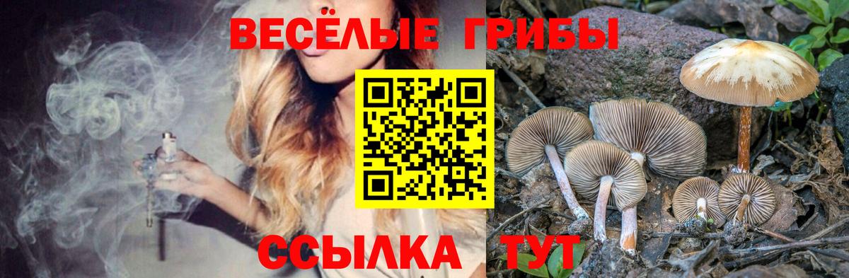 Галлюциногенные грибы Magic Shrooms  Псилоцибиновые грибы мухоморы  Сосновоборск  Вход с VPN 